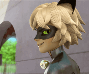Miraculous Ladybug Marinette Ladybug Adrien Chat Noir Profiles
