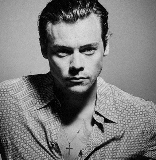 geminiscene:harry styles for the face. photographed