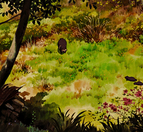 Pom Poko 平成狸合戦ぽんぽこ 1994 | Dir. Isao Takahata