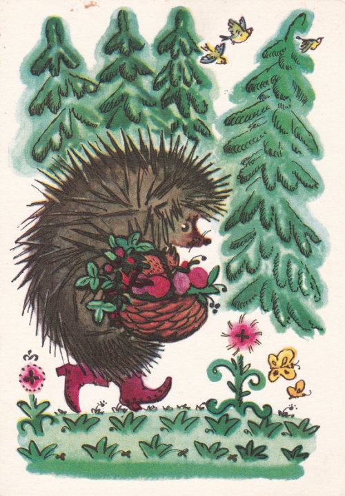 sovietpostcards:Vintage Soviet postcard (1968), cute hedgehog illustration, animal art print, artist