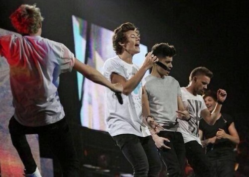 liciaunlockmyheart:hipstuurr:lol niall fell off the stage.Lol look at louis reaction