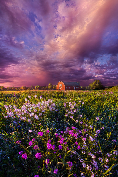 floralls:Wisconsin Horizons by Phil Koch