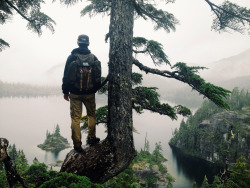 brutalgeneration:  (by joram nathanael)