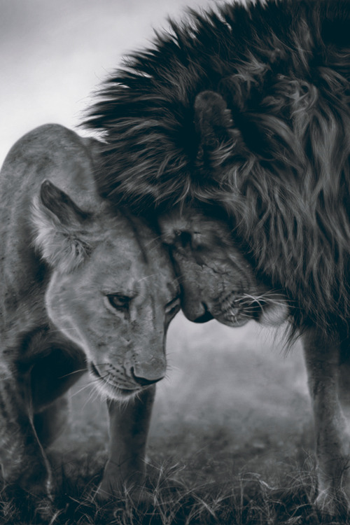 iwanttobelieveinrainbows:  how I feel with him, even when he doesnt believe he is capable 