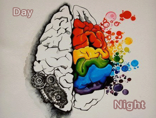 drugs and tv shows