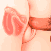 Voluptuous-Love