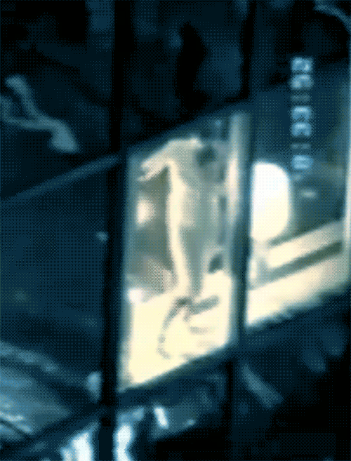 ejakulation:Diamonds, Nick Knight films Kate Moss, from one Madison Avenue skyscraper to another, wh