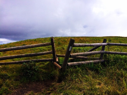 blazingyeti:Quick Day Hike. Roan Highlands, Hump Mnt.