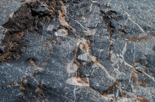 chantalelenamitchell:Palomas Gap, Sierra County, New Mexico. Jornada del Muerto, The Journey of the 