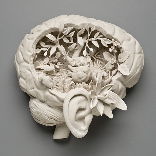 moshita:  Kate Macdowell 