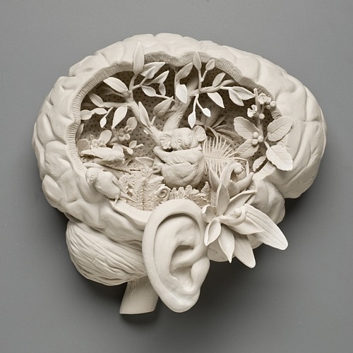 littlelimpstiff14u2:  Kate MacDowell  Amazing Porcelain Sculptures Through her porcelain