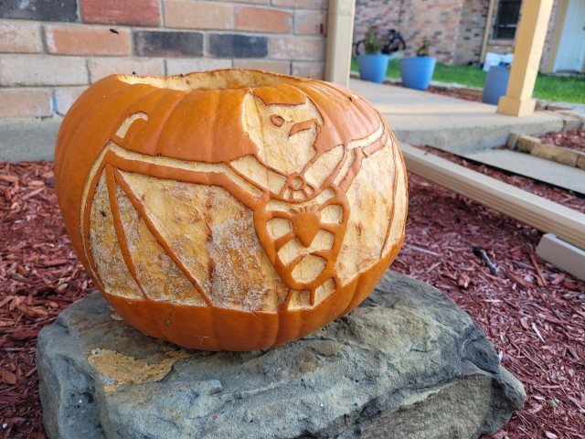 Side view of the carved pumpkin, not glowing, and out in daylight sitting on a rock over red woodchips in a yard.