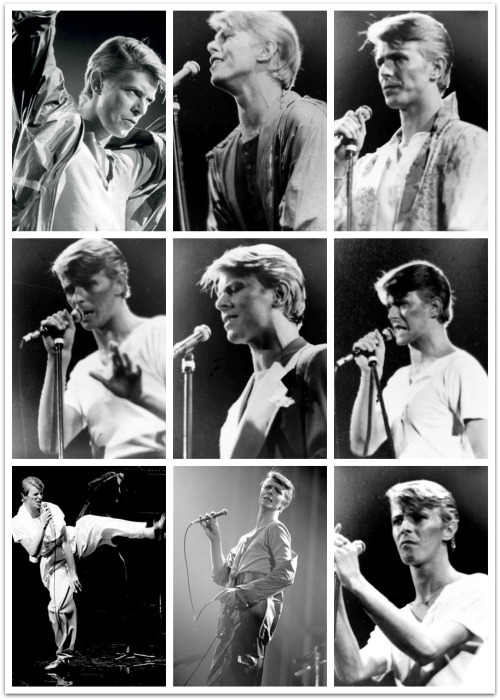 the-bowieologist: As 1,978 of you are following The Bowieologist now, here are a few shots from 1978