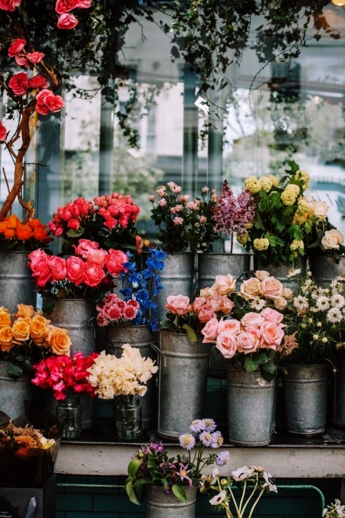 emirkocturk: Ben çiçek sever bir dilsizdim ve size çiçeklerimi verdim am