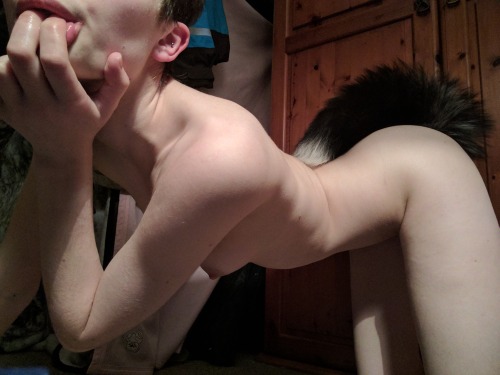 Sex pup-pyrus:Puppy missed having the tail in pictures