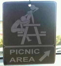 magentabrown:  Perfect picnic