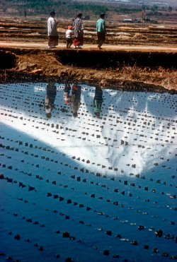 20aliens:  Japan. 1991. Near Mt. Fuji.Japan.