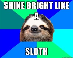 FUCK YEAH SOCIALLY LAZY SLOTH