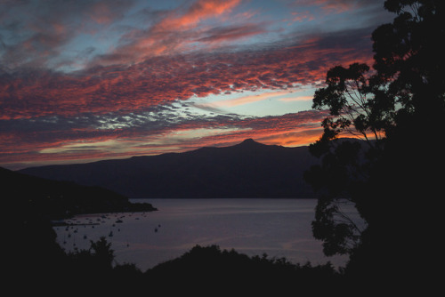 piavalesca:view from our first night in the campervanAKAROA, you`re golden!