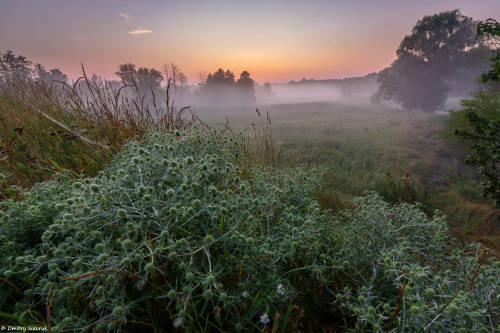 Morning magic by Dmitry Sidoruk Camera: Nikon D7200