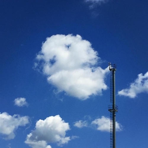 Formatori Di Nuvole Che Per Continuare A Sognare Si Arrampicano Sempre Pi In Alto Nel Cielo. #segnievidenti