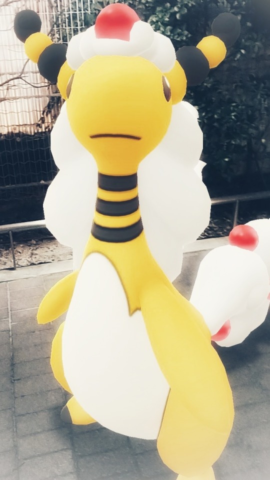 デンリュウ Tumblr Posts Tumbral Com デンリュウ Tumblr Posts Tumbral Com