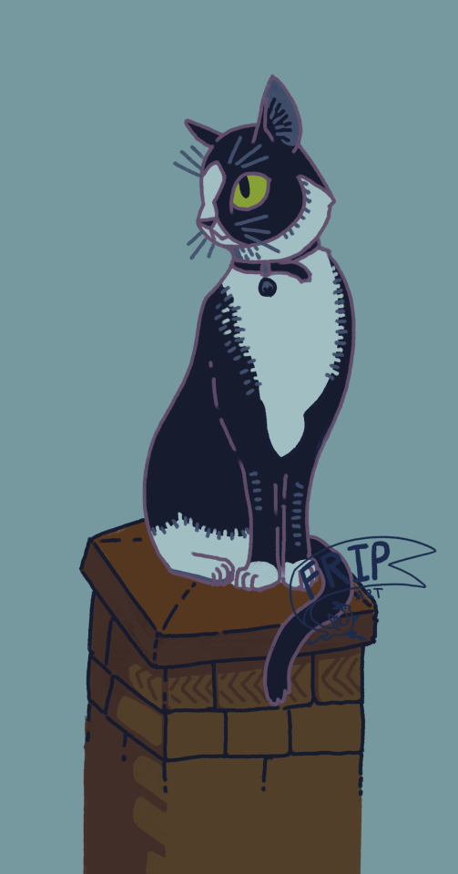 Frip Looking Very Handsome (yes Thats My Name Sake) To Match The Brimb