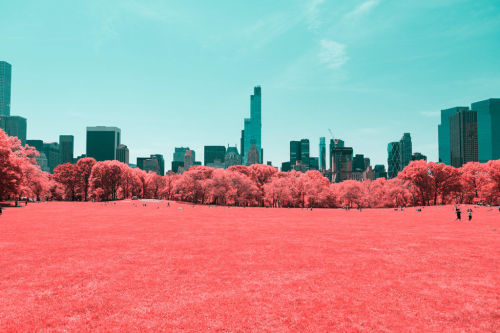 chdd:Infrared Photos Transform Nyc Into A Technicolor Dreamland Wired ift.tt/1OxcETG