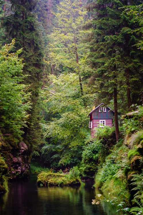 ponderation:  Hidden In The Woods by Dmytro Korol  More form this photographer Website | Facebook | 