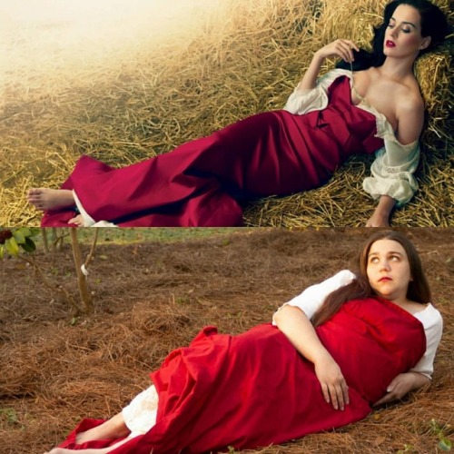 Romance novel cover: Expectations vs. Reality. Don’t mind us, just trying to replicate an An
