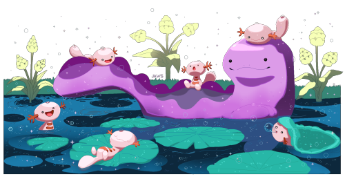 pen-papers: ★ Wooper + Quagsire