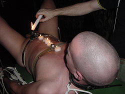 chastity-males:   Goethals Rope slave - B Torture have started