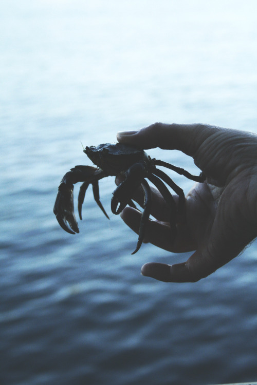 incrxminate:  WENT CRABBING 