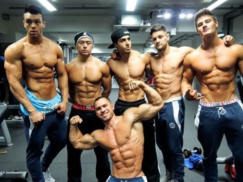 powerless-divinity:  Gymshark crew