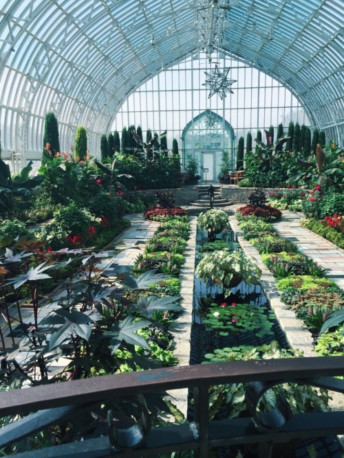 mercuitio: como park conservatory - saint paul