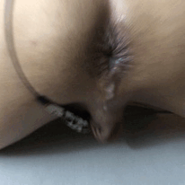 whitesissyfucktoy:  desicdslut4bbc:  I put an ad on Craigslist earlier today for