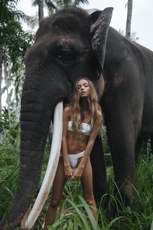 inka-williams: In a perfect world, wildlife sanctuaries would be obsolete and animals would roam f