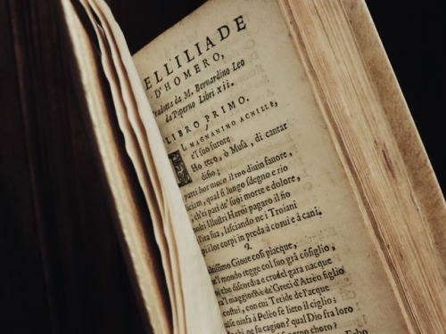 saint-rouge:1573 Italian translation of the Iliad. Carefully rebound to period-style.IG : saint.roug