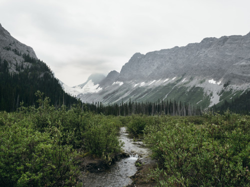 Burstall Pass Trail - Kananaskis Country, Alberta, Canada