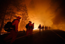 True grit (inmate firefighters move in along