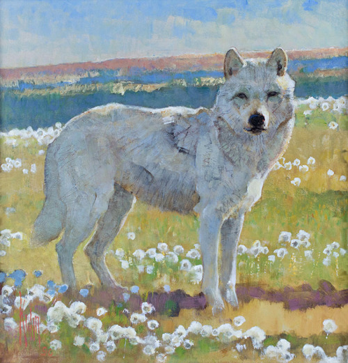 BOB KUHNIn Ellesmere Land - Arctic WolfAcrylic on board11″ x 10.5&quot;