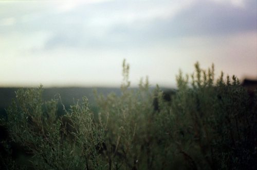 Worship Blog