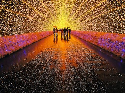 comfortably-lobotomized:  cubebreaker:  Japan’s Nabana no Sato Botanical Garden used over 7,000,000 LED lights to create this amazing tribute to nature featuring displays of rainbows, auroras, and Mt. Fuji.  whoa.. 