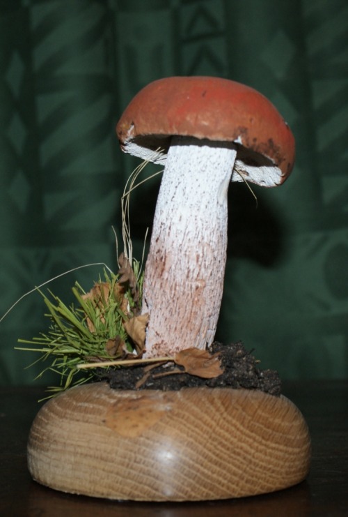 Birch Bolete (Leccinum versipelle) Wax model By D.Frampton 2004