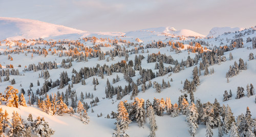 beautiful-basque-country:Winter in Larra-Belagua.