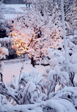 snowflakesandsleighbells: want more winter/holidays/snow on your dash? follow snowflakesandsleighbells 