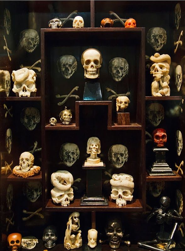 obsessedwithskulls:  Beautiful cabinet of curiosities!http://bit.ly/1Qs03vU