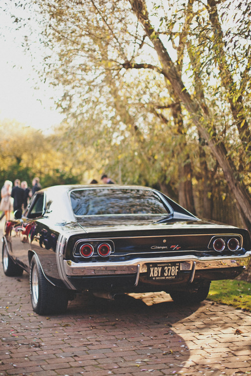 voluptuous-body:  Proud to present  You would be a communist bastard if you don’t like or respect a old school CHARGER!