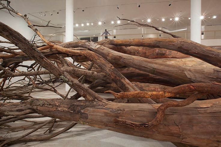 darksilenceinsuburbia:  Henrique Oliveira: Transarquitetonica,2014Museu de Arte Contemporânea,