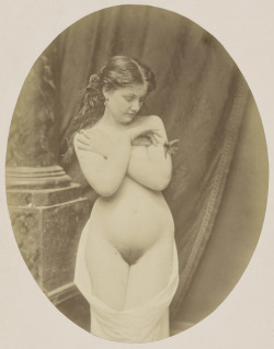 sparism:  rivesveronique:    Unknown, photographer, [Female Nude with Hummingbird], French, 1860s, Albumen silver print  female nude study - 1860s France